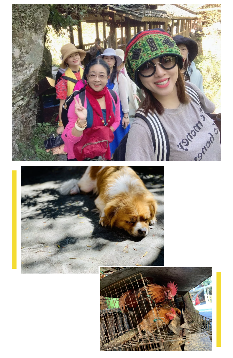 1604989621410441.png “寻舞八桂”Day_21.png