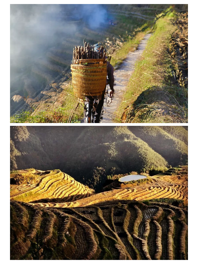 1604989699760886.png “寻舞八桂”Day_05.png