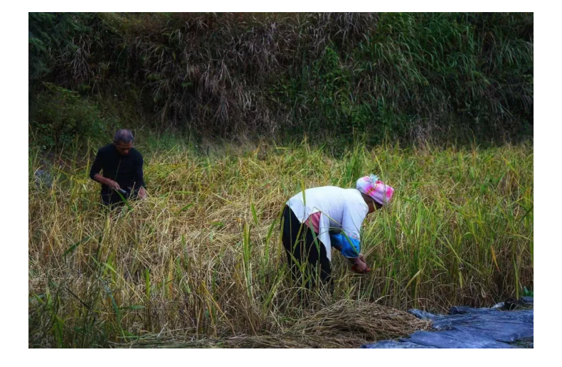 1604989716125673.png “寻舞八桂”Day_07.png