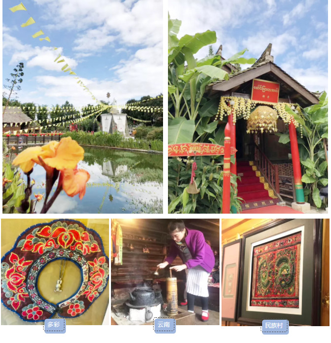 1605496348873348.png 6.png