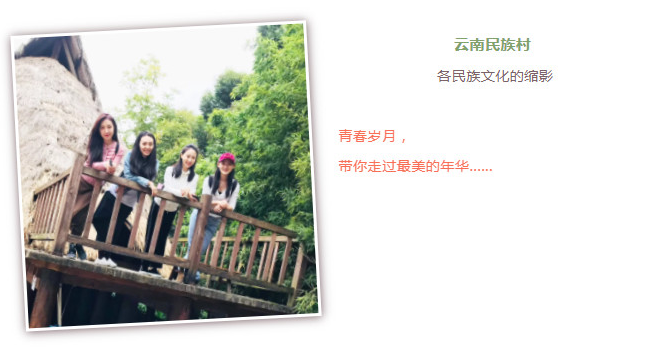 1605496575283499.png 18.png