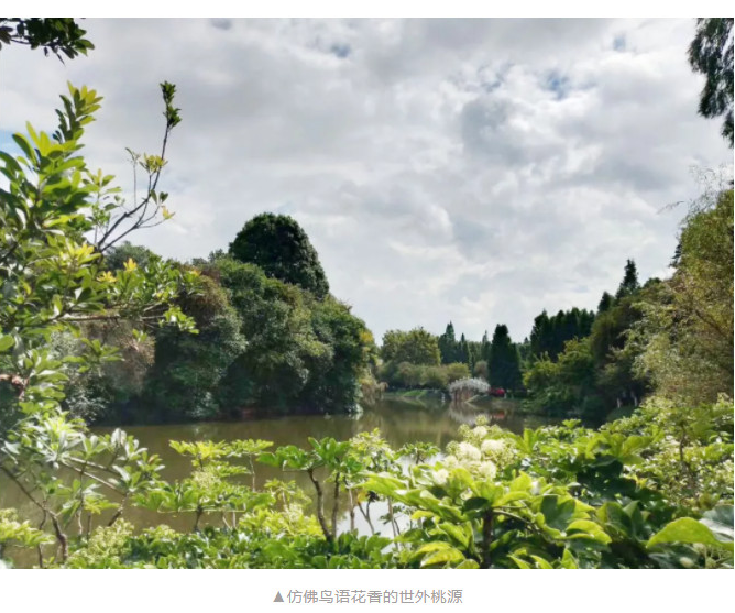 1605496645555458.png 22.png