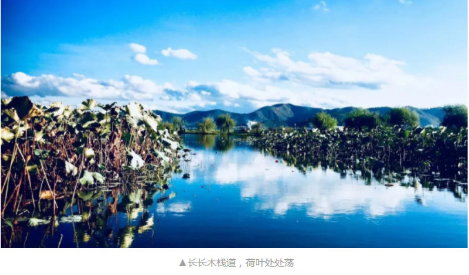 1605500494403438.jpg 40.jpg