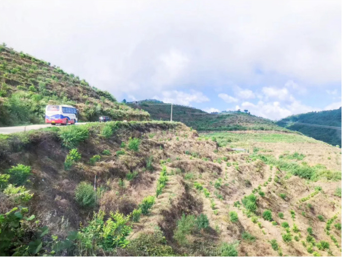 1605509760588626.jpg 7.jpg