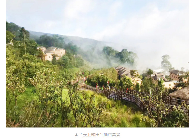 1605520345262805.jpg 3.jpg