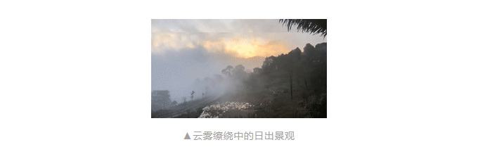 1605520394330206.jpg 5.jpg