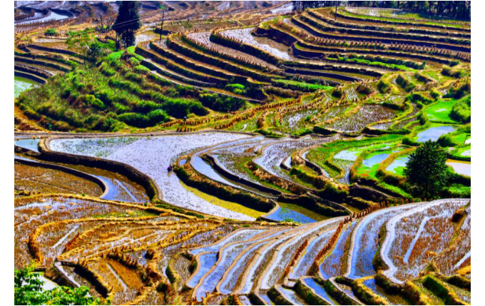 1605520459917946.jpg 8.jpg