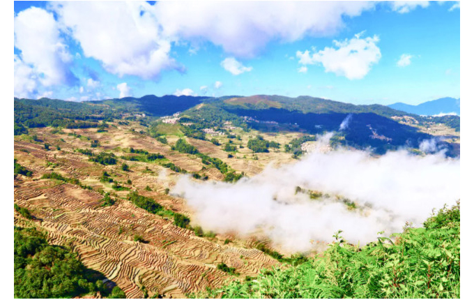 1605520549909872.jpg 11.jpg