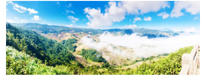 1605520619324605.jpg 15.jpg