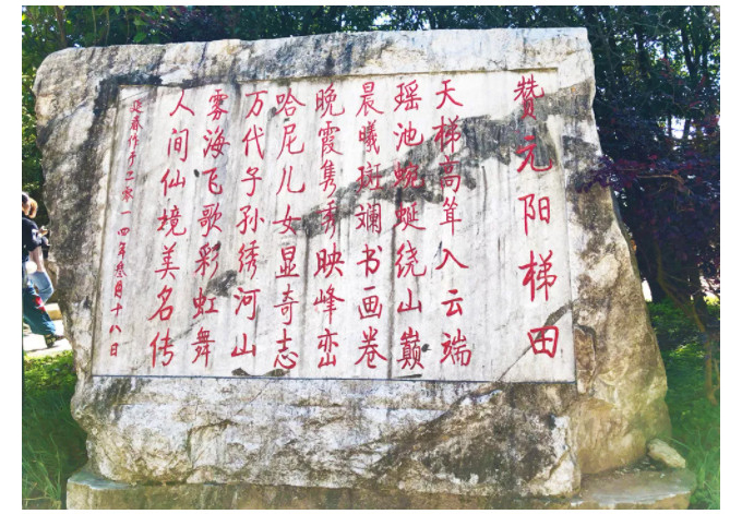 1605520770317352.jpg 25.jpg