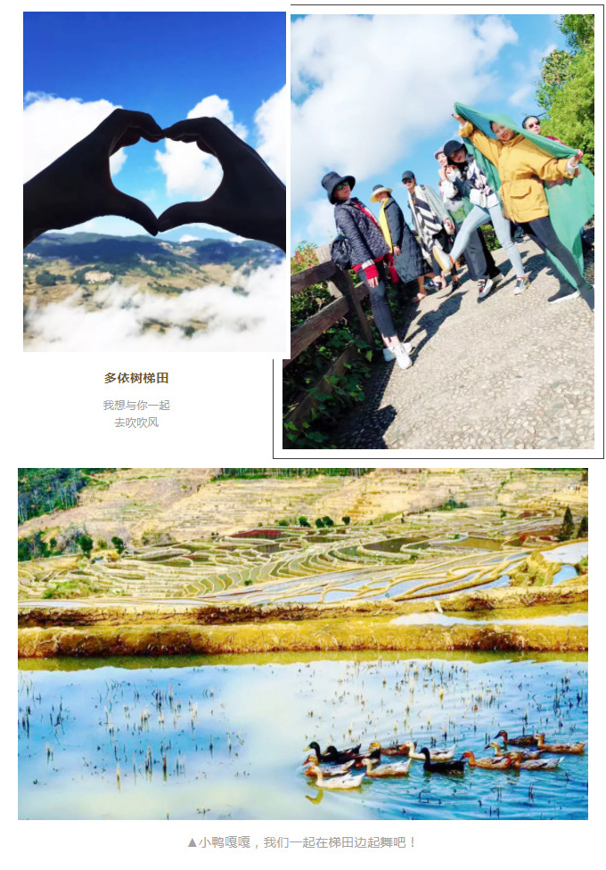 1605520846361432.jpg 29.jpg