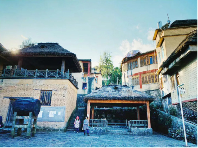 1605521231487423.jpg 48.jpg