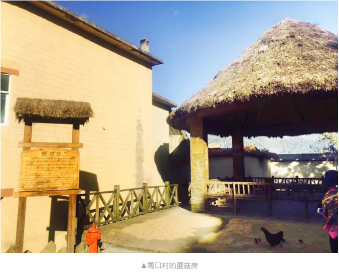 1605521319946169.jpg 55.jpg