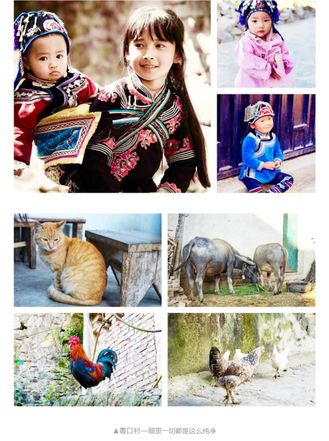 1605521389612674.jpg 59.jpg