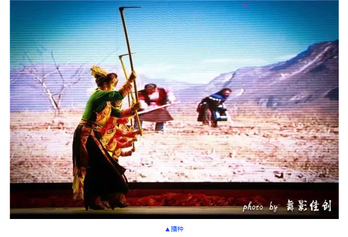 1605685033376131.jpg 23.jpg